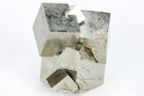 Natural Pyrite Cube Cluster - Spain #210606-2